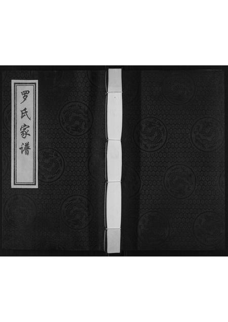 河北罗氏-罗氏家谱.pdf电子版缩略图