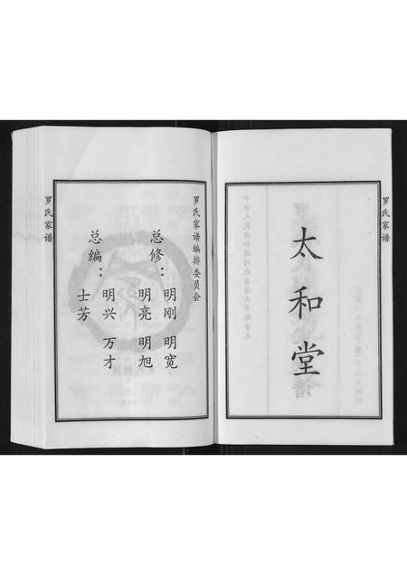 河北罗氏-罗氏家谱.pdf电子版预览图3