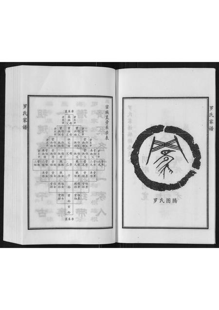 河北罗氏-罗氏家谱.pdf电子版预览图4