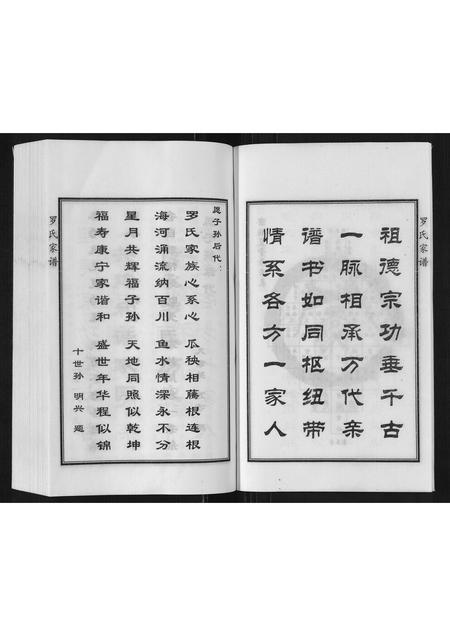 河北罗氏-罗氏家谱.pdf电子版预览图5