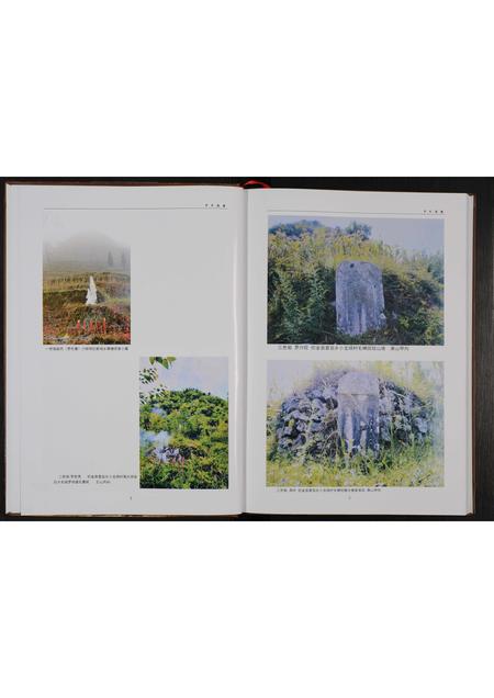 贵州罗氏-罗氏家谱 [不分卷](别名：罗氏族谱).pdf电子版预览图3