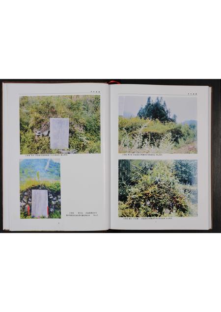 贵州罗氏-罗氏家谱 [不分卷](别名：罗氏族谱).pdf电子版预览图4