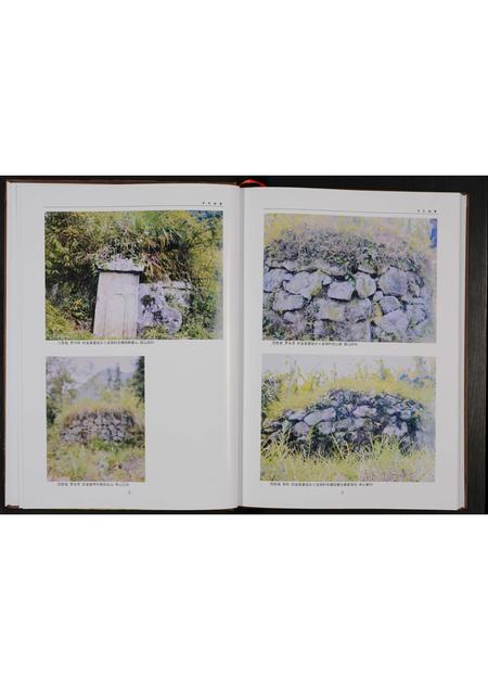 贵州罗氏-罗氏家谱 [不分卷](别名：罗氏族谱).pdf电子版预览图5