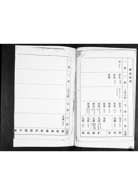 山东雒氏-雒氏族谱.pdf电子版预览图5