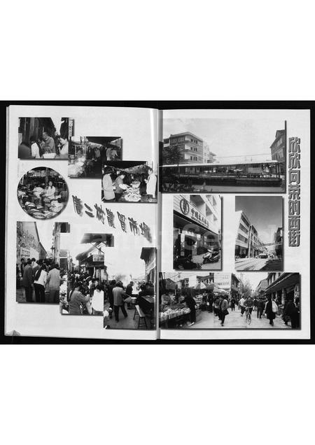 4481.唐先二村志[施氏](别名：Tang Xian Er Cun Zhi).pdf电子版预览图4