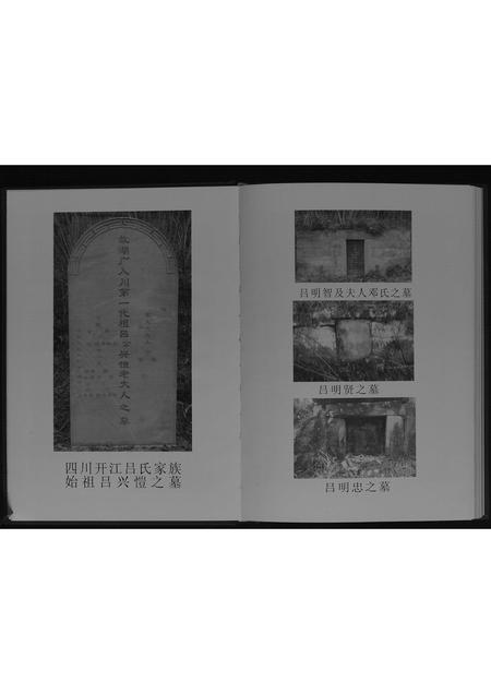 四川吕氏-吕氏族谱[不分卷].pdf电子版预览图4