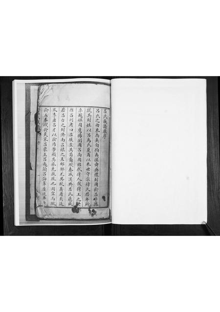 山东吕氏-信村吕氏族谱[不分卷].pdf电子版预览图2