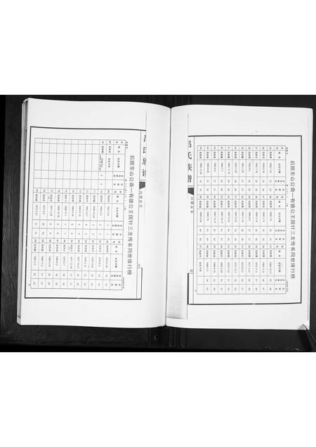 山东吕氏-吕氏族谱.pdf电子版预览图4