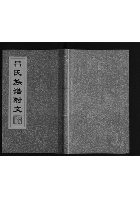 山东吕氏-吕氏族谱[3卷附1卷].pdf电子版缩略图