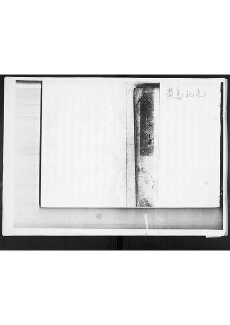 山东吕氏-吕氏族谱[不分卷].pdf电子版缩略图