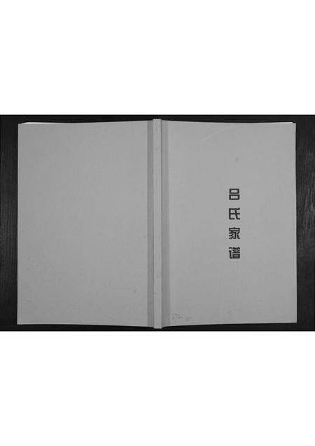 广西吕氏-吕氏家谱.pdf电子版缩略图