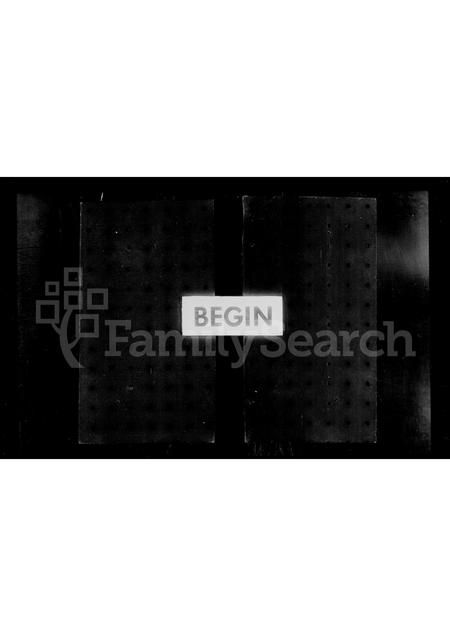 4519.新城王氏家乘.pdf电子版缩略图