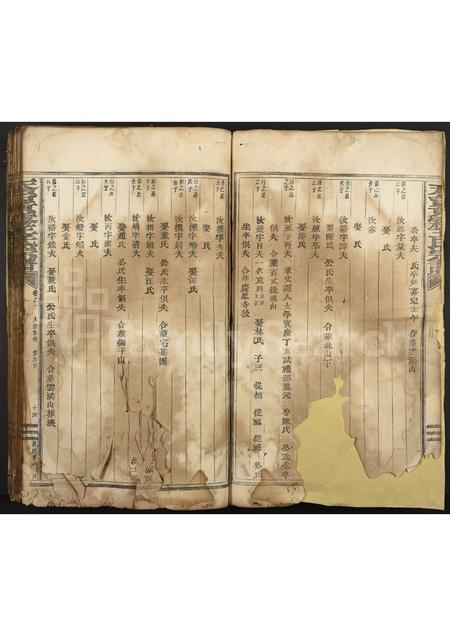 4526.天台黄雾王氏宗谱 [残卷].pdf电子版预览图2