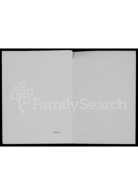 4527.[浙江定海迁台王氏]家谱.pdf电子版预览图2