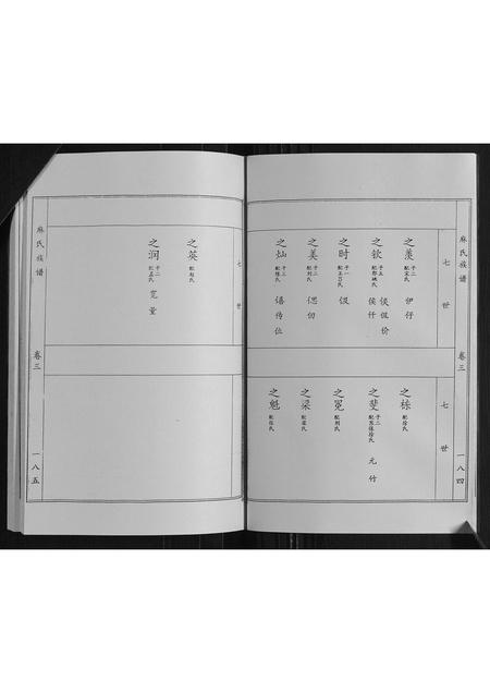 山东麻氏-麻氏族谱 [3卷].pdf电子版预览图4