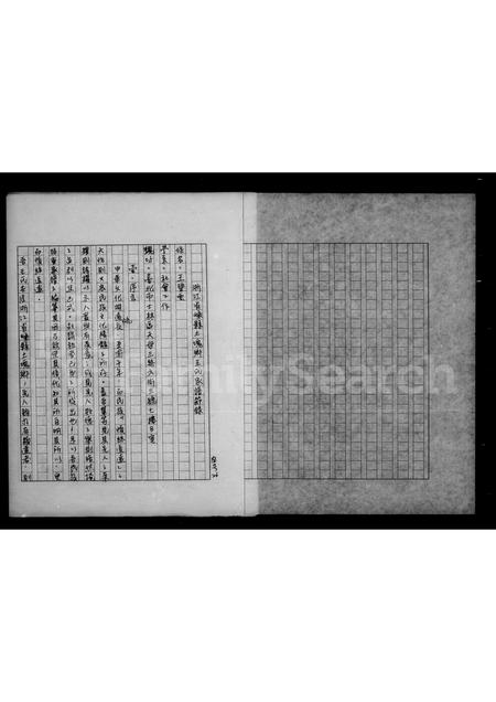 4529.浙江省嵊县土块乡王氏家谱节录.pdf电子版预览图3