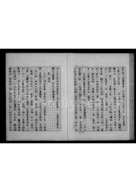 4529.浙江省嵊县土块乡王氏家谱节录.pdf电子版预览图4