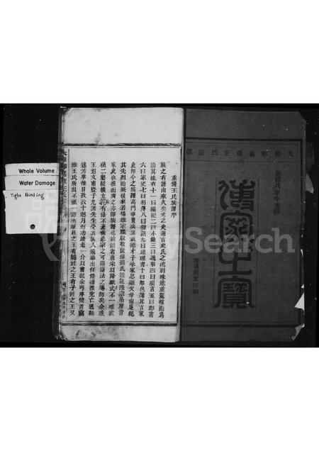 4530.太原郡嘉章王氏宗谱.pdf电子版预览图2