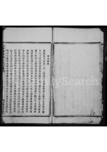 4530.太原郡嘉章王氏宗谱.pdf电子版预览图5