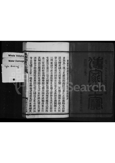 4531.太原郡王氏宗谱.pdf电子版预览图2