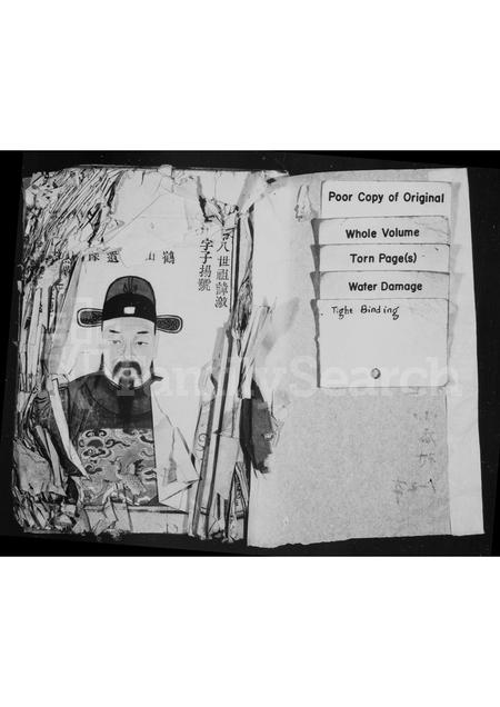 4533.太原郡王氏宗谱(别名：uniform title).pdf电子版预览图1