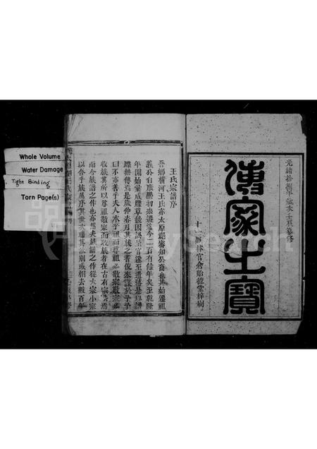 4534.太原郡王氏家谱.pdf电子版预览图2