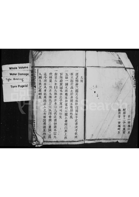 4538.王氏宗谱.pdf电子版预览图1