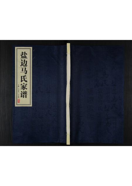 四川马氏-盐边马氏家谱 [不分卷].pdf电子版缩略图