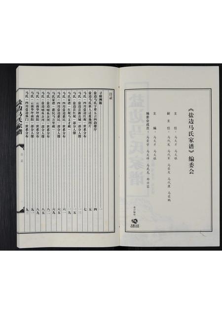 四川马氏-盐边马氏家谱 [不分卷].pdf电子版预览图2