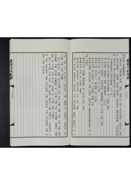 四川马氏-盐边马氏家谱 [不分卷].pdf电子版预览图5