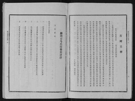 山东马氏-古滕马氏续修族谱.pdf电子版预览图3