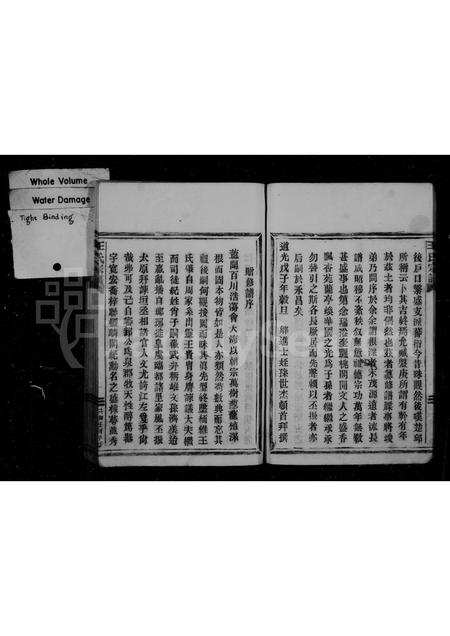 4540.王氏宗谱.pdf电子版预览图1