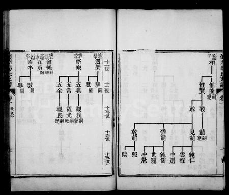 山东马氏-德州马氏支谱 [4卷].pdf电子版预览图3