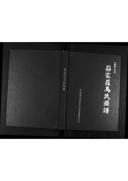 山东马氏-茹家庄马氏族谱.pdf电子版缩略图