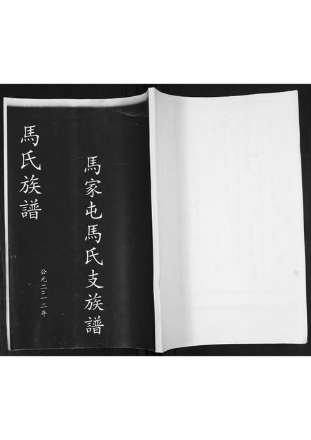 山东马氏-马家屯马氏支支谱[不分卷].pdf电子版缩略图
