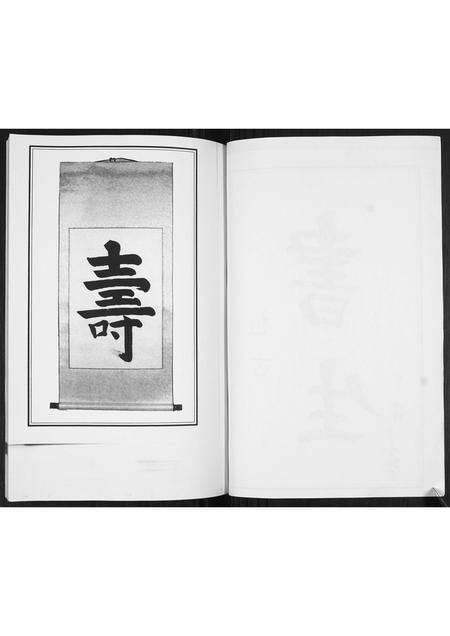 山东马氏-马家屯马氏支支谱[不分卷].pdf电子版预览图2