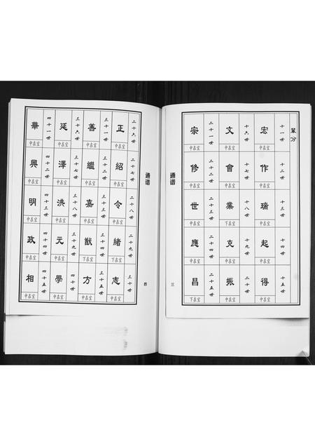 山东马氏-马家屯马氏支支谱[不分卷].pdf电子版预览图5