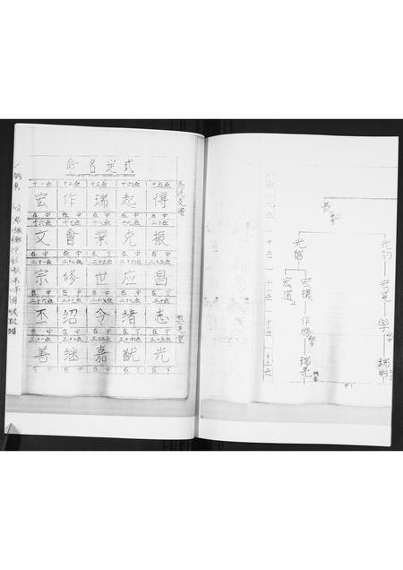 山东马氏-马氏支谱.pdf电子版预览图2