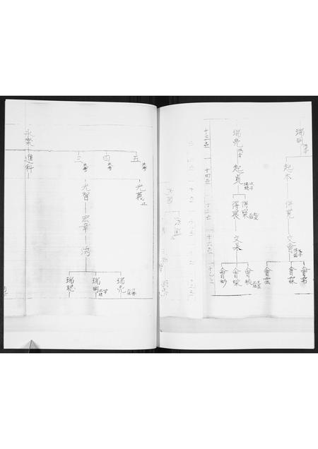山东马氏-马氏支谱.pdf电子版预览图3