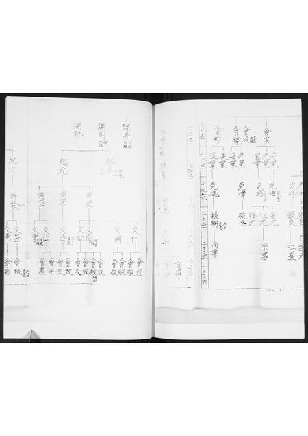 山东马氏-马氏支谱.pdf电子版预览图4