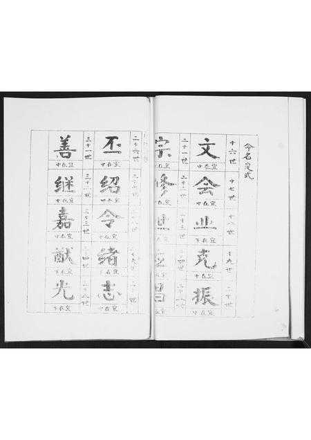 山东马氏-马氏支谱[不分卷].pdf电子版预览图4