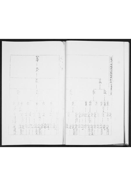山东马氏-马氏支谱[不分卷].pdf电子版预览图5