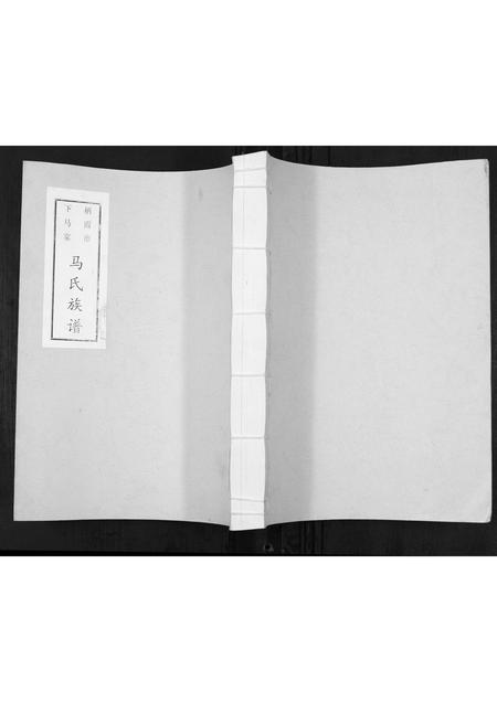 山东马氏-马氏族谱.pdf电子版缩略图