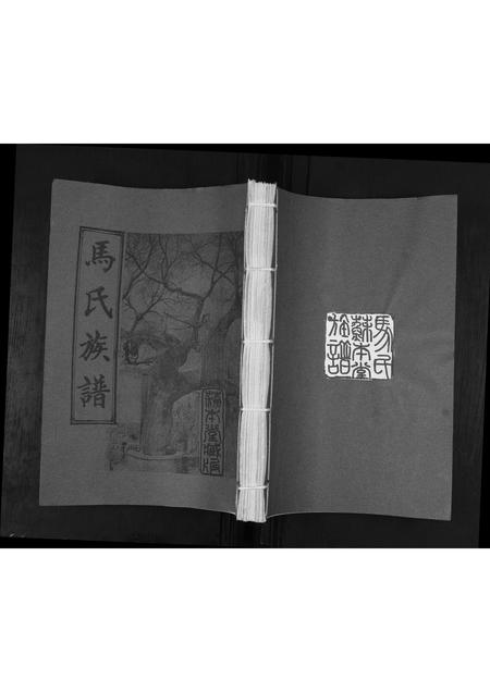 山东马氏-马氏族谱.pdf电子版缩略图