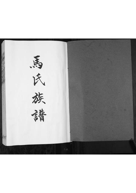 山东马氏-马氏族谱.pdf电子版预览图1