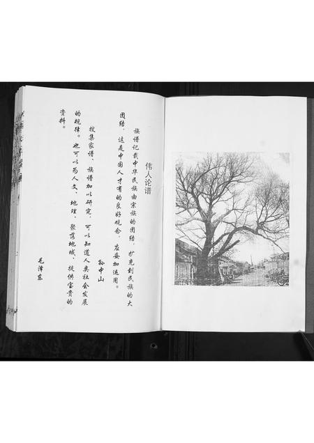 山东马氏-马氏族谱.pdf电子版预览图2