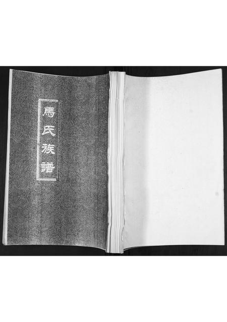 山东马氏-马氏族谱[6卷].pdf电子版缩略图