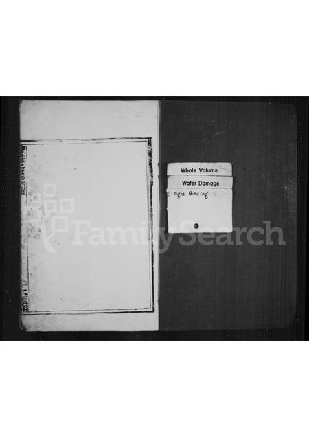 4552.上洋王氏族谱(别名：泗溪王氏族谱).pdf电子版预览图2