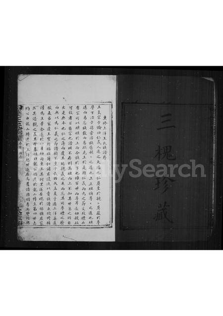 4552.上洋王氏族谱(别名：泗溪王氏族谱).pdf电子版预览图5