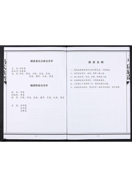 山东马氏-马氏族谱[不分卷].pdf电子版预览图3